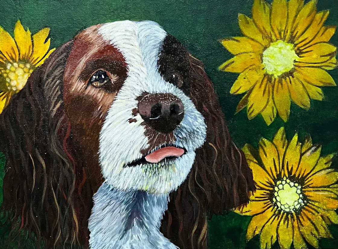 Pet Portraits, undefined, undefined